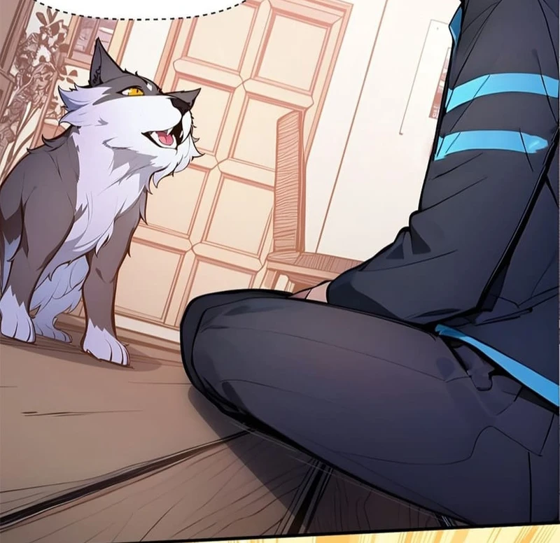 Chapter Image 2